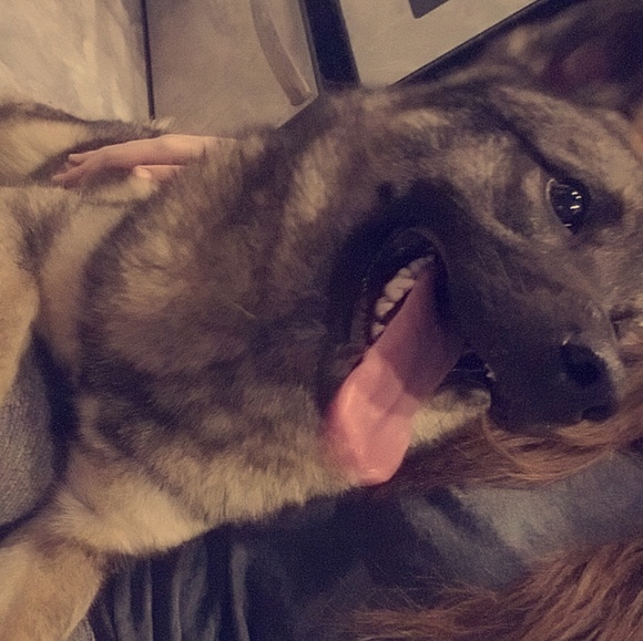 Meet your Posher, Jay - Picture 1 of 1